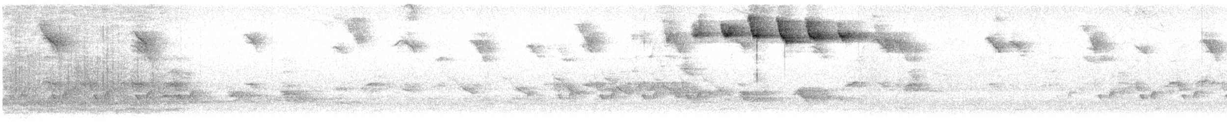 Blackpoll Warbler - ML234923071