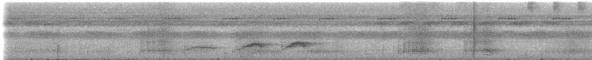 Sarı Telekli Yassıgaga (obscuriceps) - ML234929