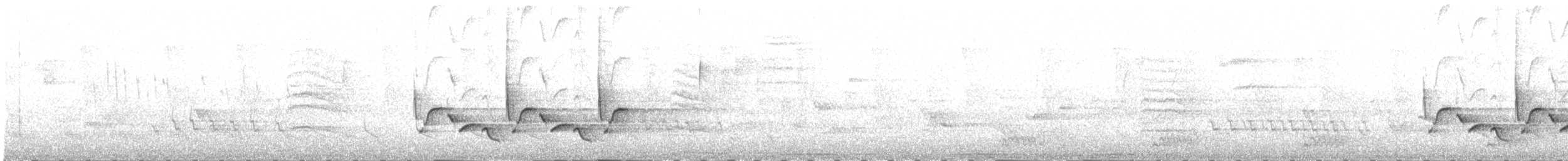 Каролинский крапивник - ML234931841