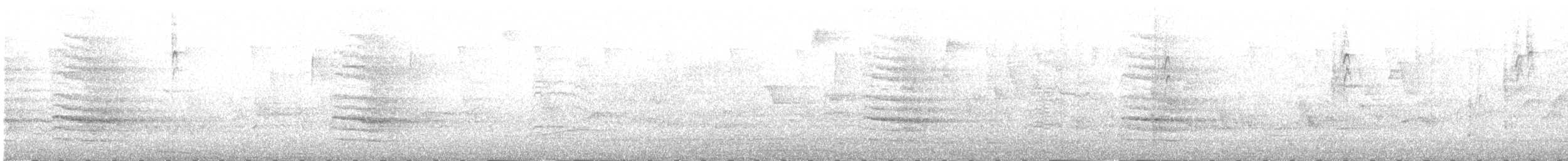 Поплітник каролінський - ML234933731