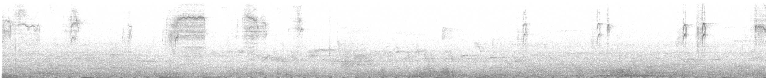 Каролинский крапивник - ML234933741