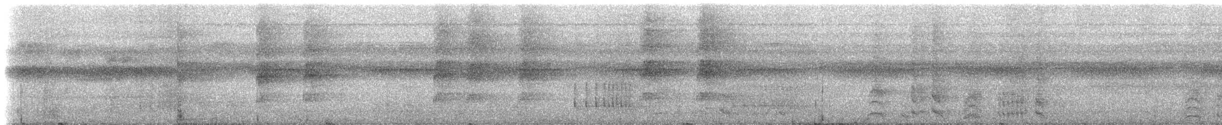 Kara Karınlı Sincap Guguğu - ML234949