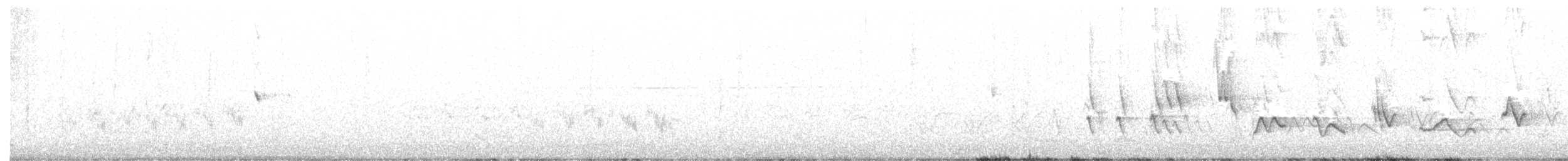 svarthodetykknebb - ML234950191