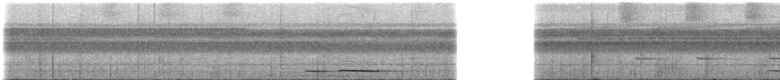 Fahlbrust-Ameisenpitta - ML234982