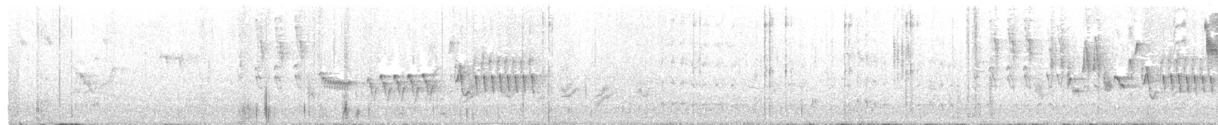 Berylline Hummingbird - ML234999901