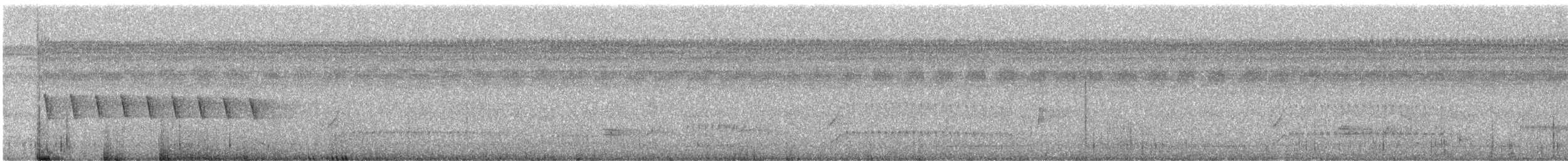 krattmyggsmett (parvirostris) - ML235014
