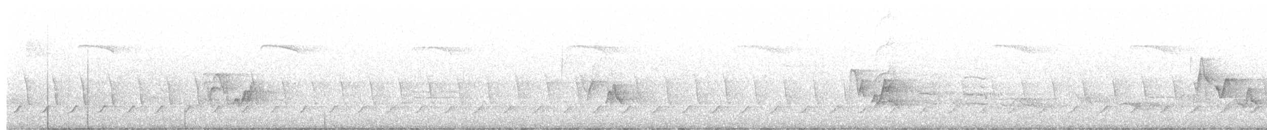 Philadelphia Vireo - ML235031881