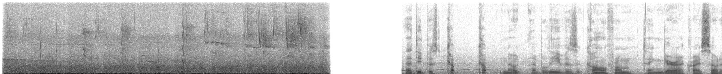 Танагра колумбійська - ML235047