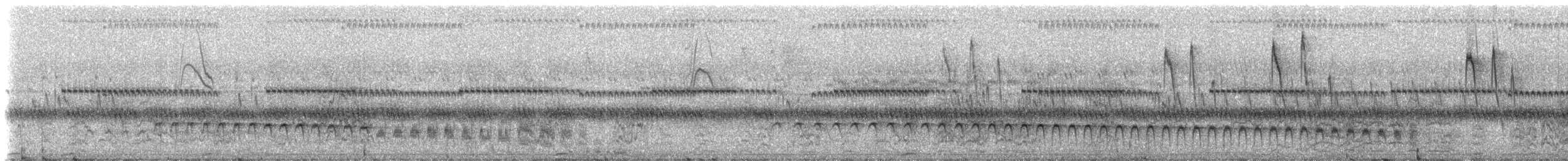 Pale-rumped Swift - ML235067