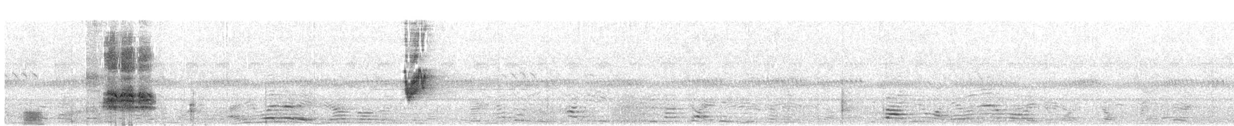 Savanna Nightjar - ML235182771