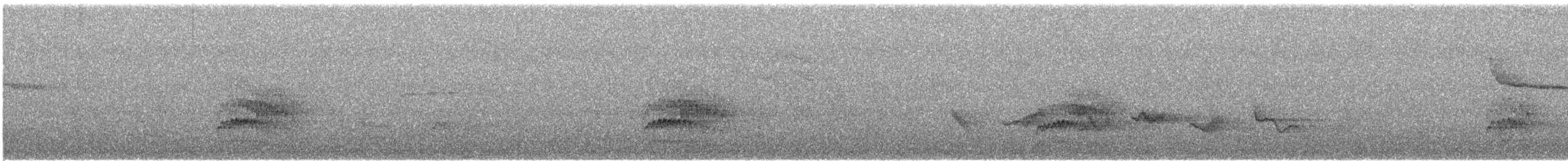 Дрізд-короткодзьоб Cвенсона - ML235202591