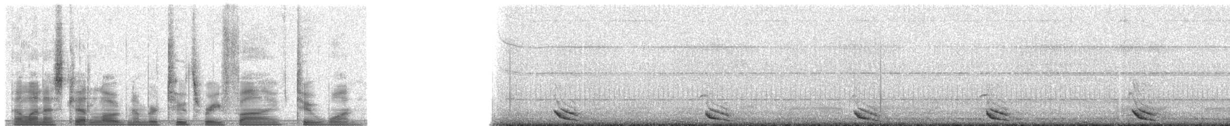 Eurasian Pygmy-Owl - ML23521