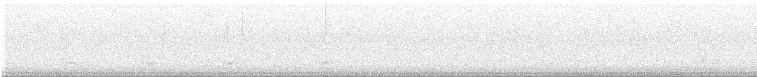 Kara Gagalı Sumru (sandvicensis) - ML235211971