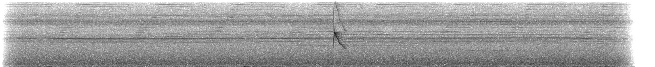 Whiskered Flycatcher - ML235228