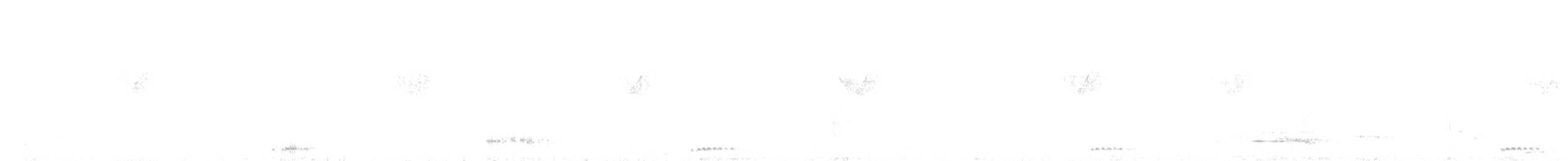 Gelbbrauen-Laubsänger - ML235235041