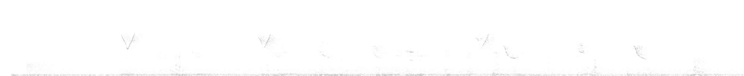 Gelbbrauen-Laubsänger - ML235236431