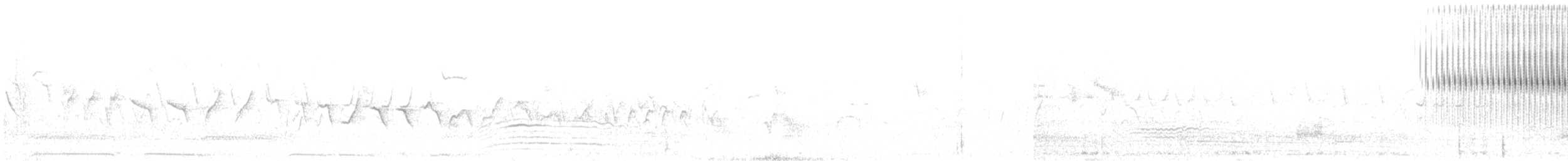 חרגולן מנומר - ML235238441