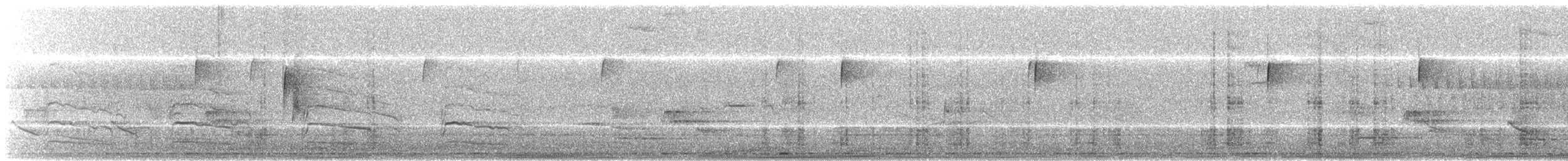 tyranovec malinký - ML235251881