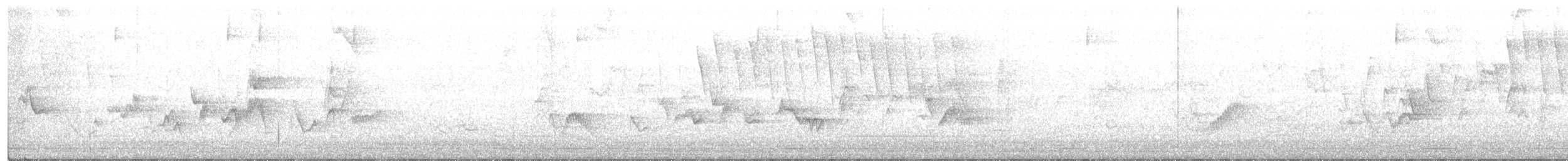 Cassin's Vireo - ML235252111