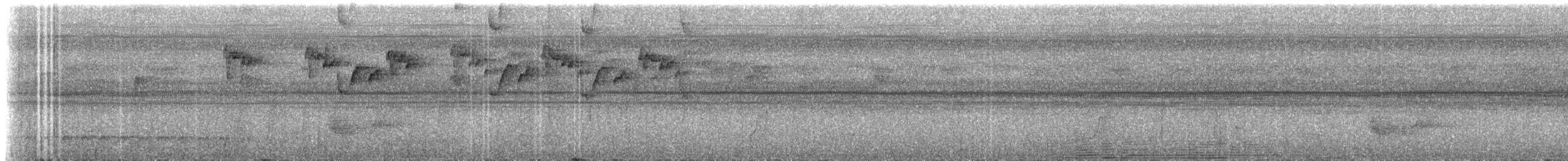 Düz Gagalı Hermit (bourcieri) - ML235257