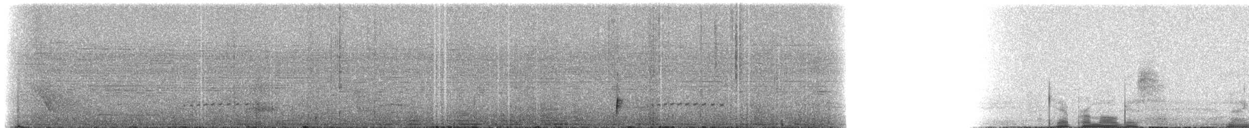 Trauernachtschwalbe - ML235268