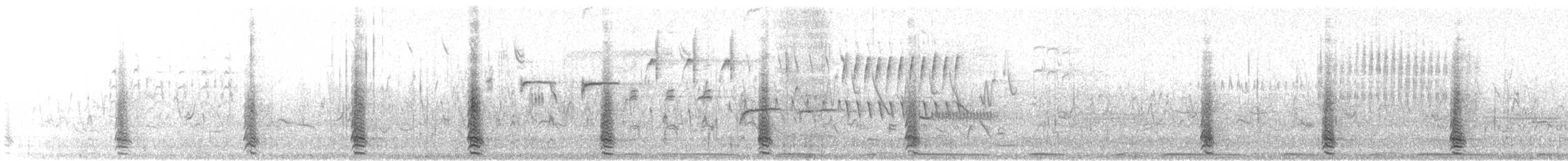 Blauflügelente - ML235268631