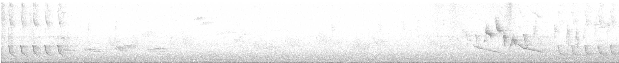 Canada Warbler - ML235276031