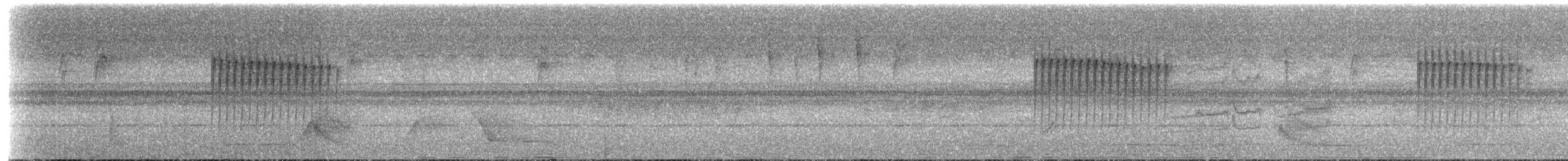Rufous-backed Stipplethroat (Rufous-backed) - ML235292