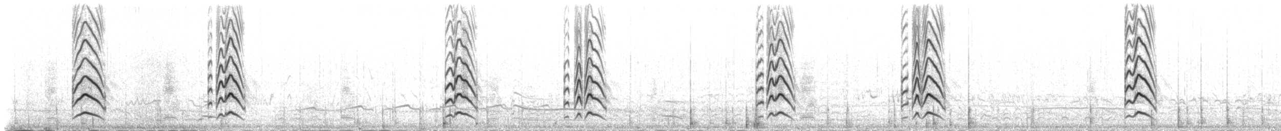 Uferschnepfe (Isländische) - ML235300