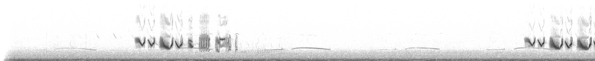 Grive mauvis (coburni) - ML235311