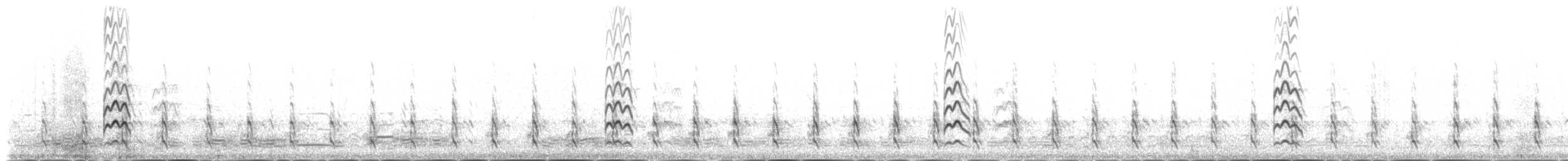 Большой веретенник (islandica) - ML235333