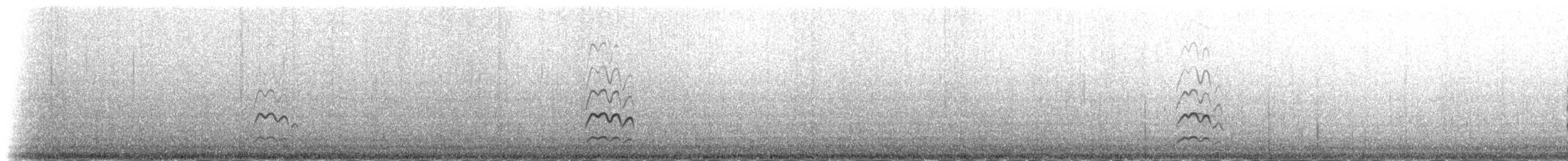 Black-tailed Godwit (islandica) - ML235355
