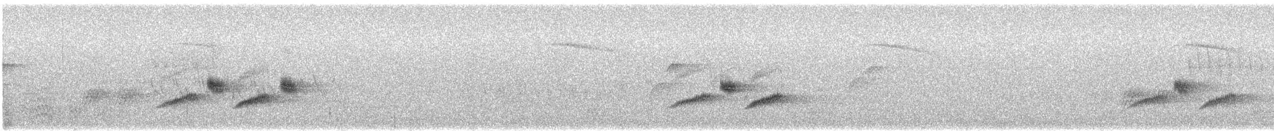 Olive Warbler - ML235367541