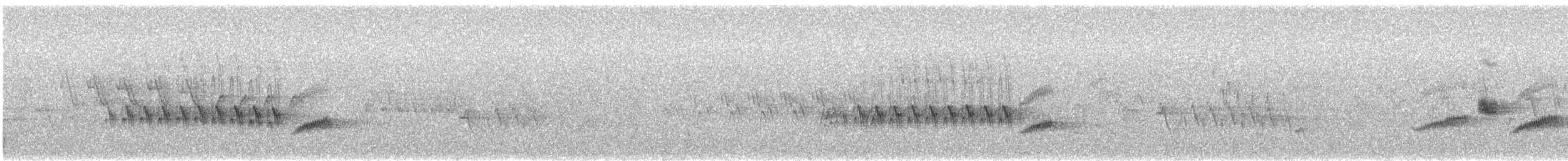 Olive Warbler - ML235367641