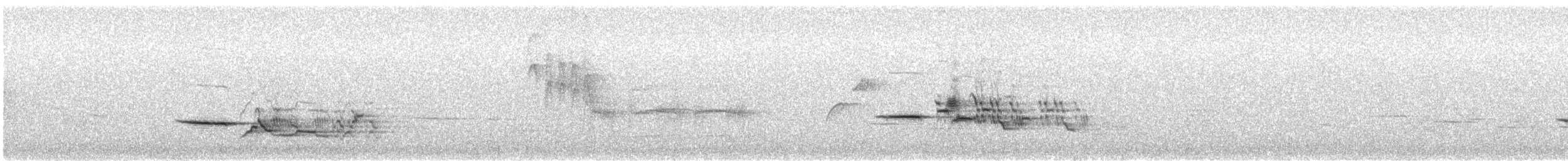 Hermit Thrush - ML235370621