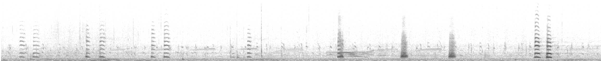 labuť zpěvná - ML235372