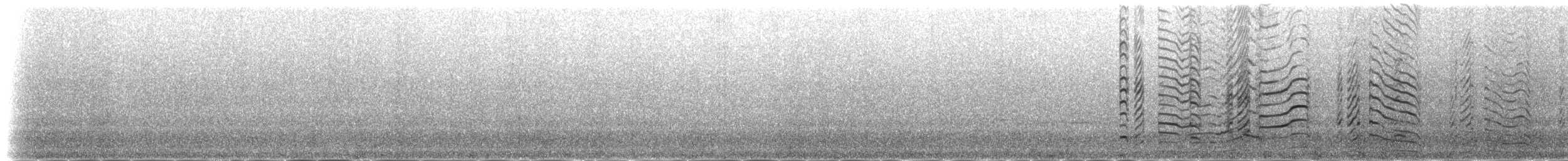 Kara Ayaklı Martı (tridactyla) - ML235400