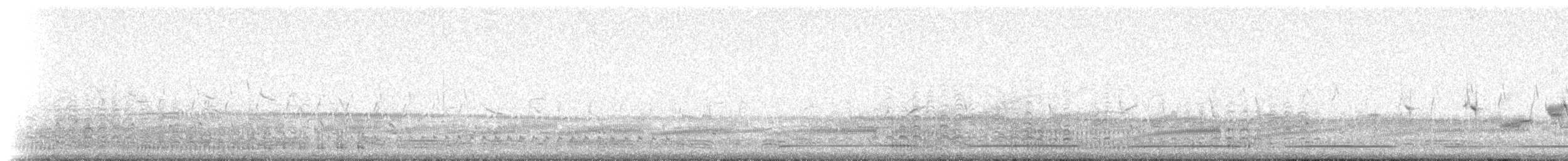 חרמשון קטן (אירופי) - ML235436