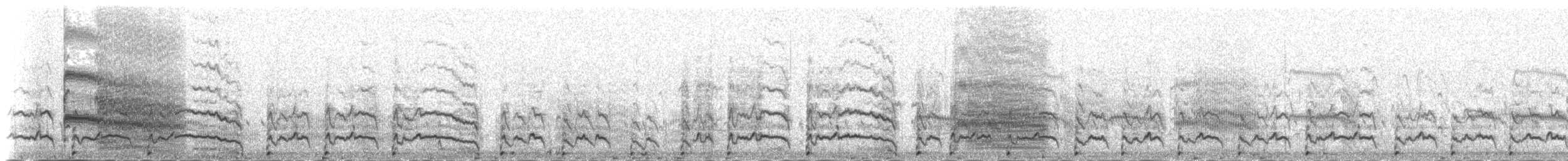 Grèbe esclavon - ML235441