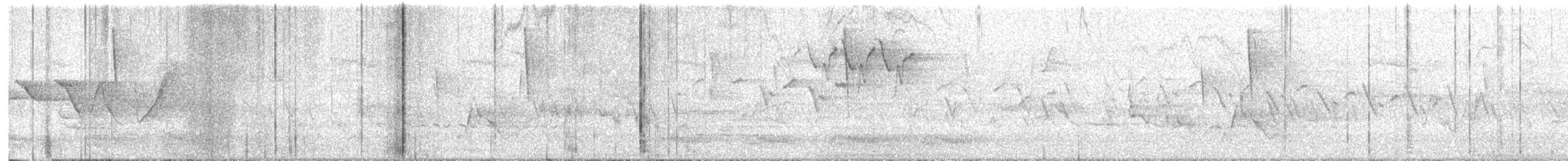 Swainson's Warbler - ML235446731