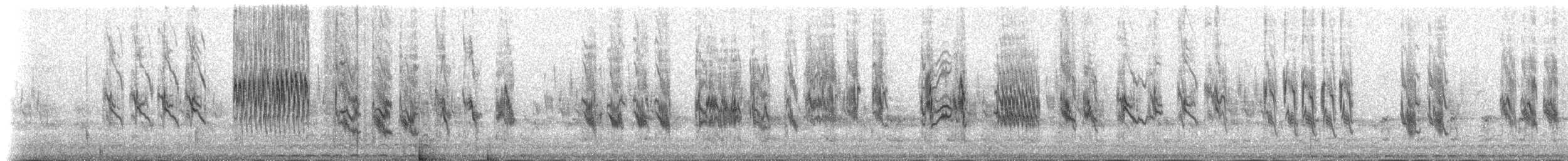 Pardillo Norteño (rostrata/islandica) - ML235467