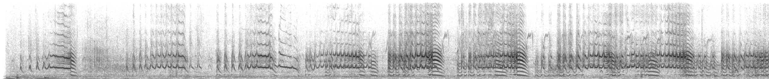 Grèbe esclavon - ML235479