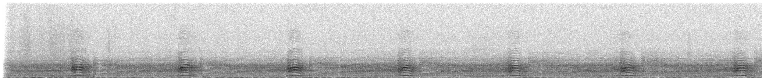 Качурка морська (підвид pelagicus) - ML235537