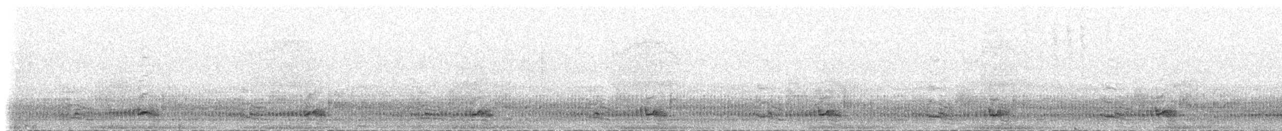 Océanite tempête (pelagicus) - ML235539
