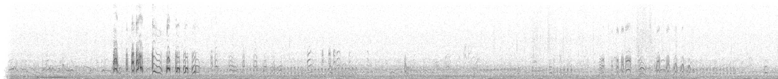 Wellenläufer (leucorhoa) - ML235541