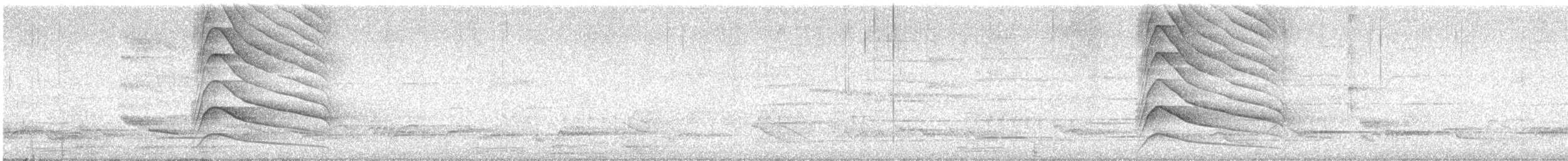 Roadside Hawk - ML235555861