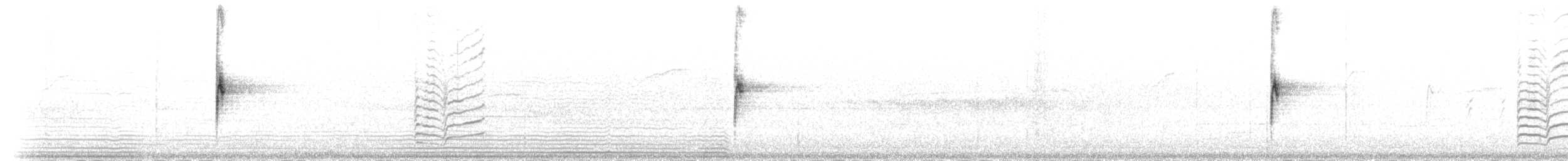 strnadec bělohrdlý - ML235582
