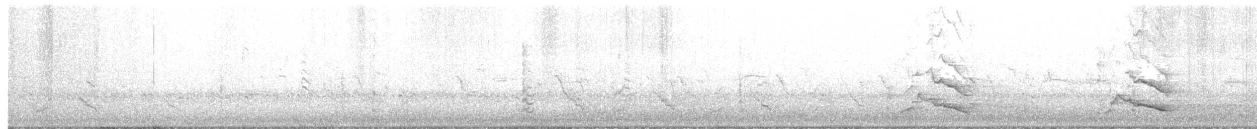 kakadu bělouchý - ML235628331