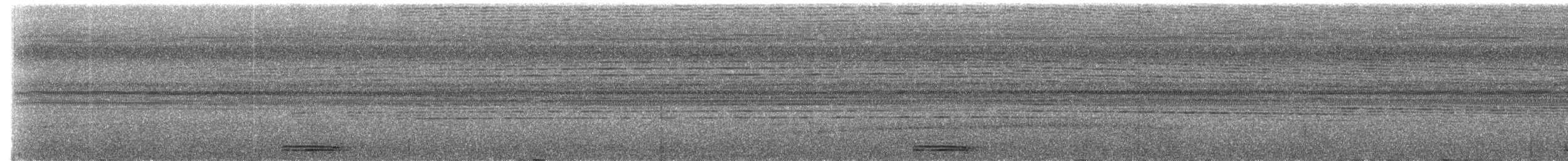 Момот широкодзьобий [група pyrrholaemum ] - ML235631