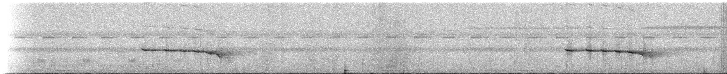 Rotschwanz-Ameisenvogel (hemimelaena) - ML235669